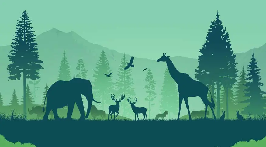 A Detailed Guide to Bannerghatta National Park