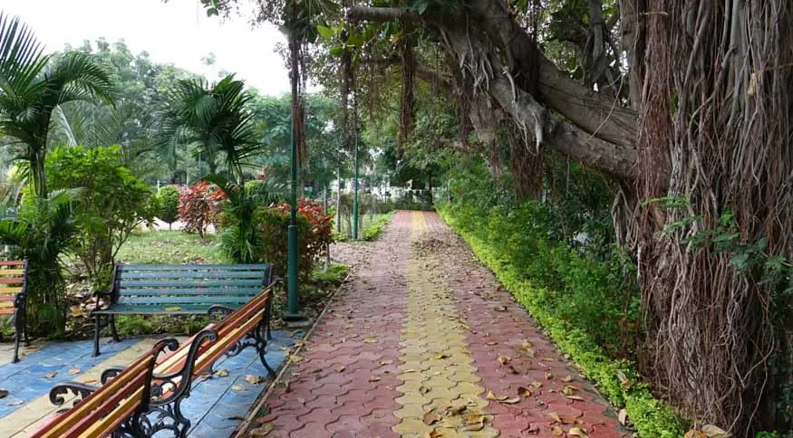 Green Spaces and Parks That Make Pune Family-Friendly