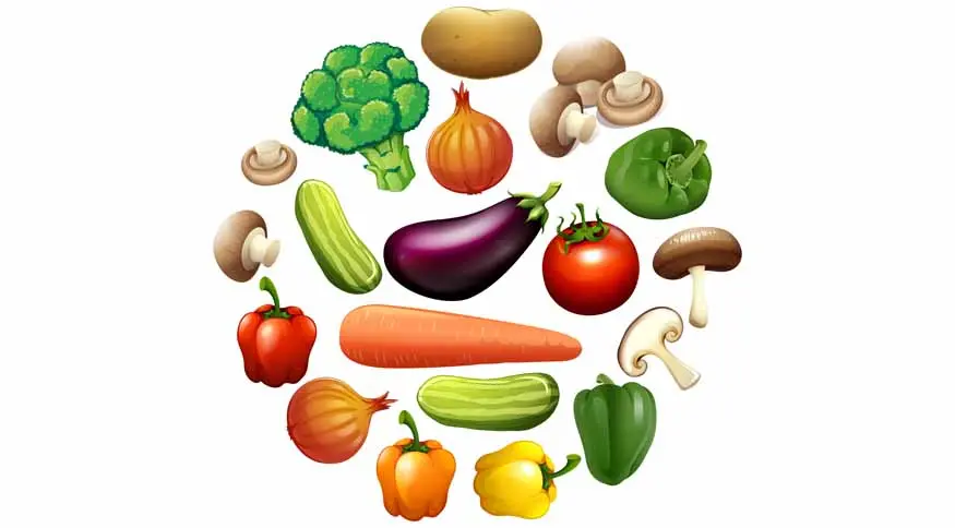 50 Vegetable Names in English: A Complete Guide to Types, Benefits & FAQs