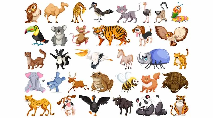 Animal Names in English for Kids