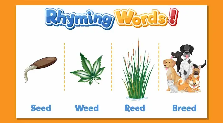 Rhyming Words List for Kids: A Complete Guide for Parents and Early Learners