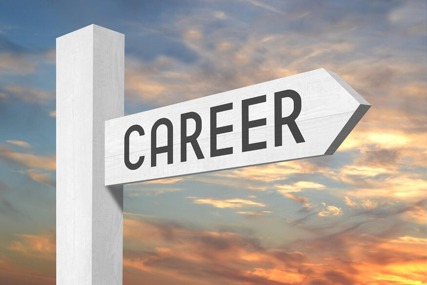 Top Career Options after BCA