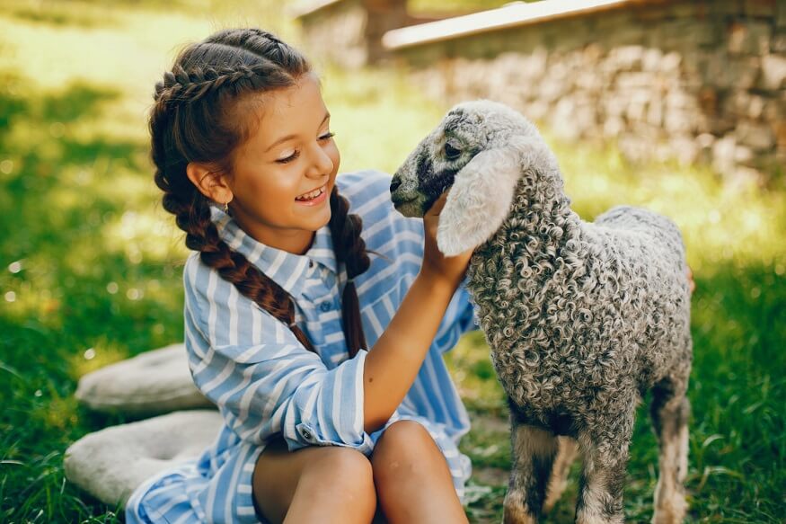 Animal Safety for Kids