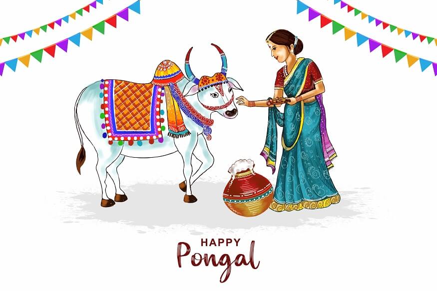 history-of-pongal-festival