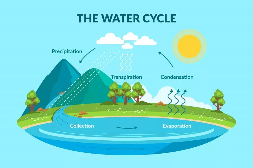 what is the water cycle